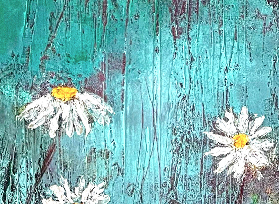Daisies 2