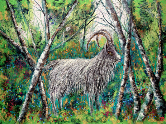 Wild Irish goat.